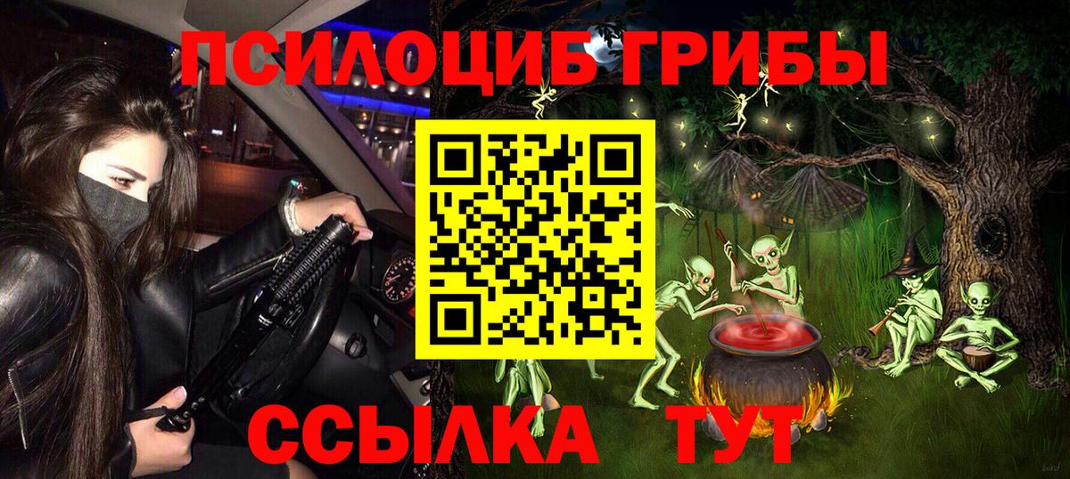Псилоцибиновые грибы мухоморы Димитровград