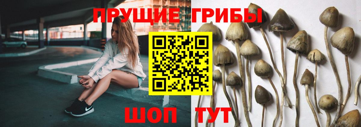 Димитровград  Галлюциногенные грибы прущие грибы  купить наркотики цена  Вход с VPN  Галлюциногенные грибы MAGIC MUSHROOMS 